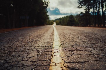 Low-angle shot of the empty countryside road alongside the green trees