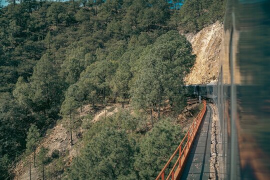 Train Chepe Express on the railroads on a sunny day
