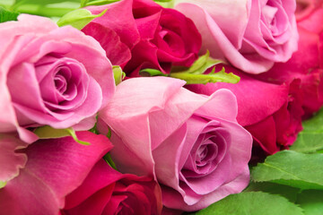 Blumenstrauss mit roten und rosa Rosen