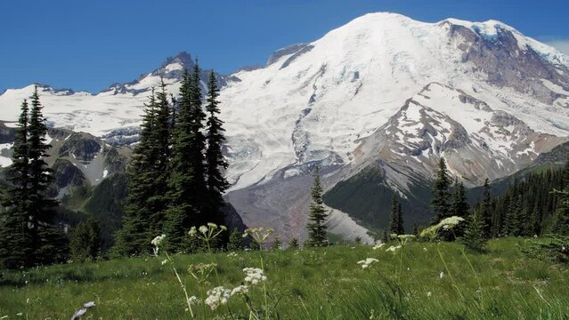 Sightseeing the Natural Wonders of Mt Rainier National Park