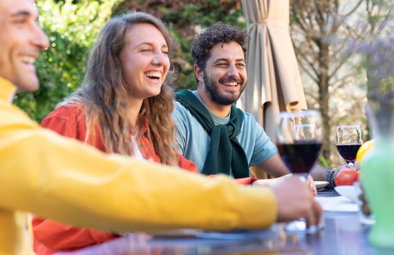 Group of happy friends drinking red wine during a picnic in the countryside.