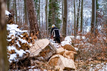 View of a man cutting wood in the forest during the winter.