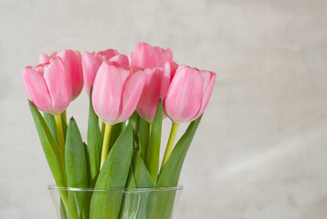 pink tulips in a vase on a gray background