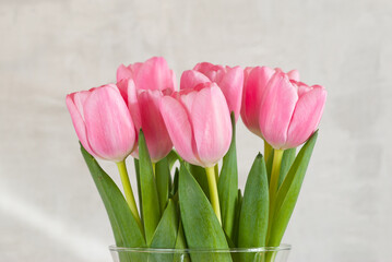 pink tulips in a vase on a gray background