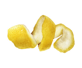 Watercolor painting of lemon peel isolated on white background, closeup, botanical illustration.