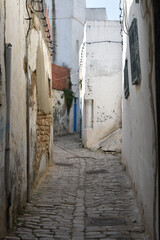 Fototapeta na wymiar Narrow Back Alley in Tunis Medina, Portrait