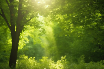 Fototapeta na wymiar Sun-kissed Canopy: A view of lush green treetops with sun rays piercing through the leaves