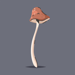 Mushroom vector icon isolated on background.