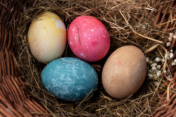 Easter eggs decorated with gypsophila lie on decorative grass