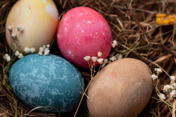 Easter eggs decorated with gypsophila lie on decorative grass