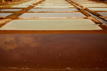 Number of Faro salt flats where sea salt is made and harvested in a rural area