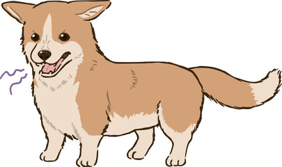 怒るコーギー（レッド＆ホワイト）