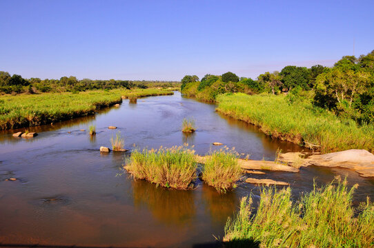 Parc national Kruger, Afrique du Sud
