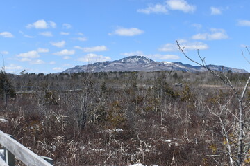 Marais Aux Cerises Avril 2023