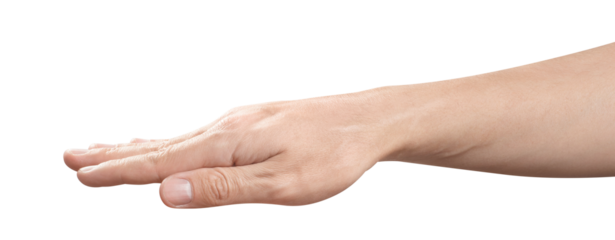 Male palm hand gesture, cut out