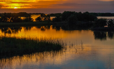 Fototapeta premium Beautiful sunset over the swamp in Louisiana, the reflection of clouds in the water, USA