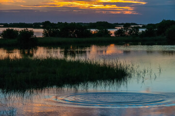 Beautiful sunset over the swamp in Louisiana, the reflection of clouds in the water, USA