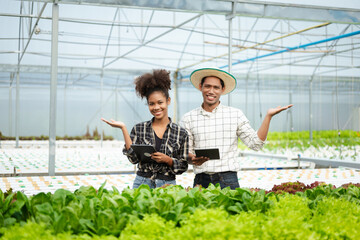Naklejka na ściany i meble Asian woman and man farmer working together in organic hydroponic salad vegetable farm. using tablet inspect quality of lettuce in greenhouse garden.
