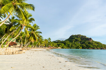 Fototapeta na wymiar Seychelles beaches offer a range of benefits and attractions that make them a desirable destination for many travelers. beautiful palm trees, beach and sea