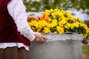 Fototapete bei efototapeten.de bestellen   