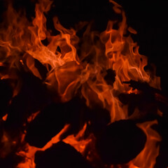 Fire flames on black background, Blaze fire flame texture background, Beautifully, the fire is burning, Fire flames with wood and cow dung bonfire