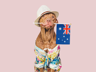 Charming, sweet brown dog, sun hat and Australian Flag. Travel preparation and planning. Close-up,...