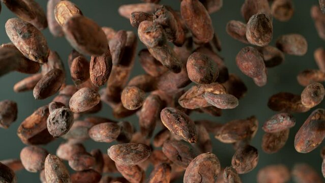 Super Slow Motion Shot of Flying and Rotating Raw Cocoa Beans, Dark Background. Filmed on high speed cinematic camera at 1000fps