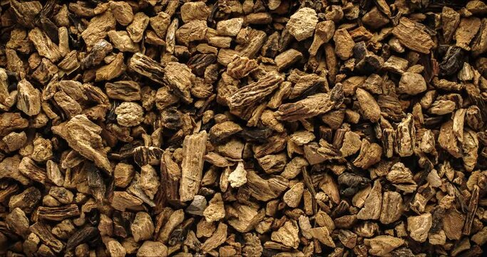 dry root of gentiane top view 360&deg; rotation in 4k. 