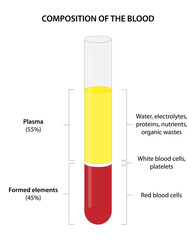 The Composition of Whole Blood