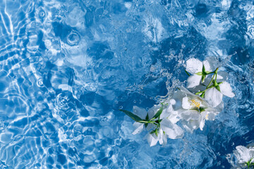 White jasmine flowers in blue transparent water. Summer floral composition with sun and shadows. Nature concept. Top view. Selective focus - obrazy, fototapety, plakaty