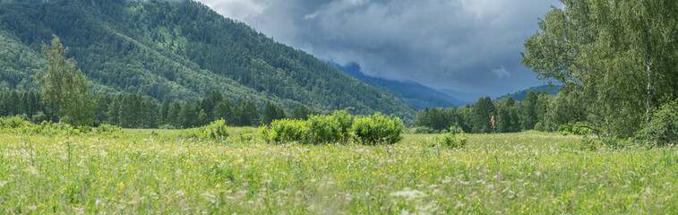 Summer mountain landscape, meadow and stormy sky, contrasting light