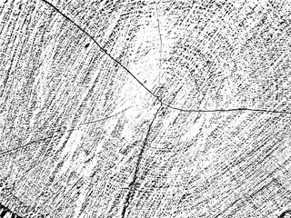 Vector grunge texture of an old tree slice with cracks, grains, and concentric circles. Monochrome background. Use for vintage, rustic, and abstract designs