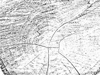 Organic rowan tree cross-section grunge texture with cracks on monochrome sawn log background. Ideal for adding a raw, rustic feel to designs. Design element