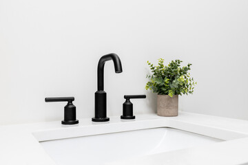 A faucet detail with a white sink and marble countertop, black faucet, and a plant for decoration.