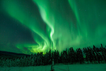aurora borealis above in the sky - obrazy, fototapety, plakaty