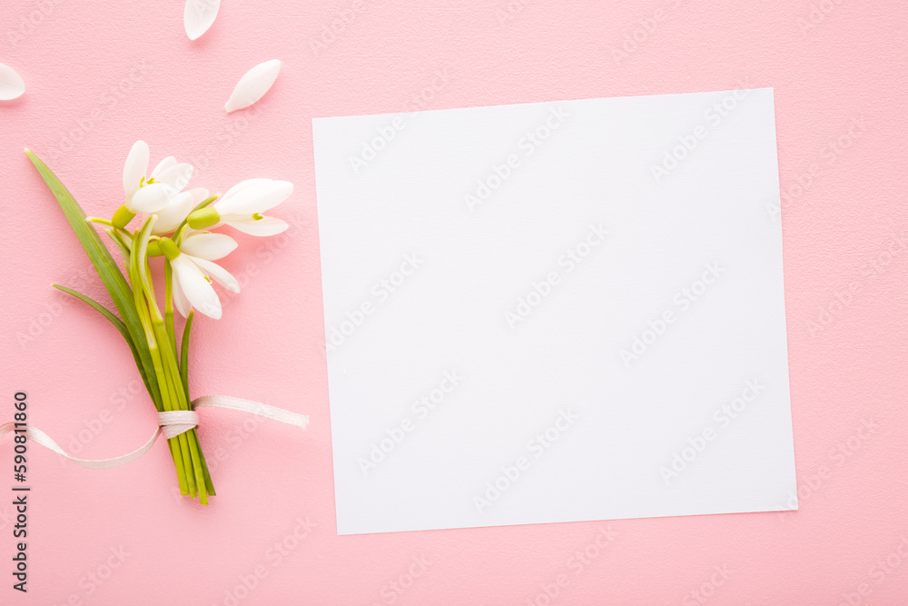 Wall mural bunch of fresh white snowdrops with green leaves and greeting card on light pink table background. p