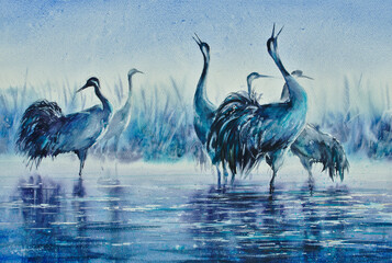 Cranes in the misty morning wading in the lake water. Reeds in the background.  Picture created...