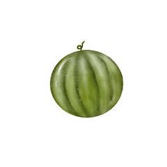 watercolor watermelon