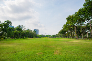 Naklejka premium City park under blue sky with building background