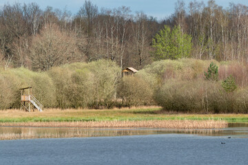 Sologne, Loir et Cher, région Centre Val de Loire, 41, France