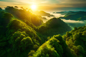 Mountain landscape with mist and sunrise. Beautiful nature background. Aerial view