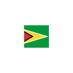 Guyana flag icon, illustration of national flag design with elegance concept, perfect for independence design