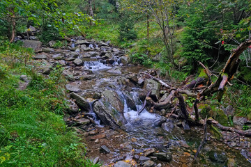 A small stream flows through rocks in the forest. The background of nature.