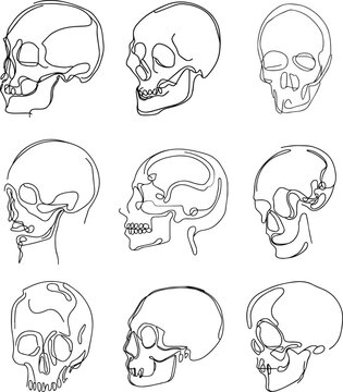 skull one line drawing. Abstract human skull isolated image hand drawn outline white background. Continuous line art minimalism style vector illustration.