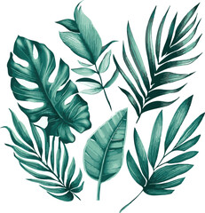 Realistic tropical botanical foliage plants