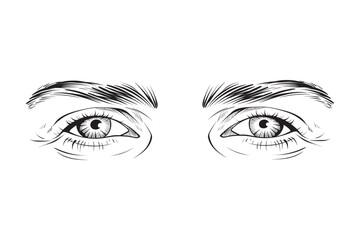 vector hand drawn eye expression line art illustration