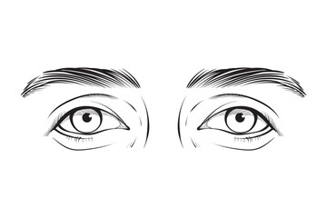 vector hand drawn eye expression line art illustration