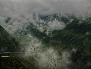 Cloud covered valley