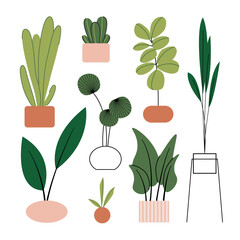 Potted plants set. Interior houseplants in planters, baskets, flowerpots. Home indoor green decor. Different succulents, foliage. Flat graphic vector illustrations isolated on white background