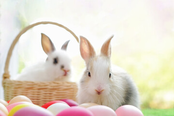 young fluffy bunny, white adorable rabbit sitting with easter eggs on nature background, concept for easter celebration